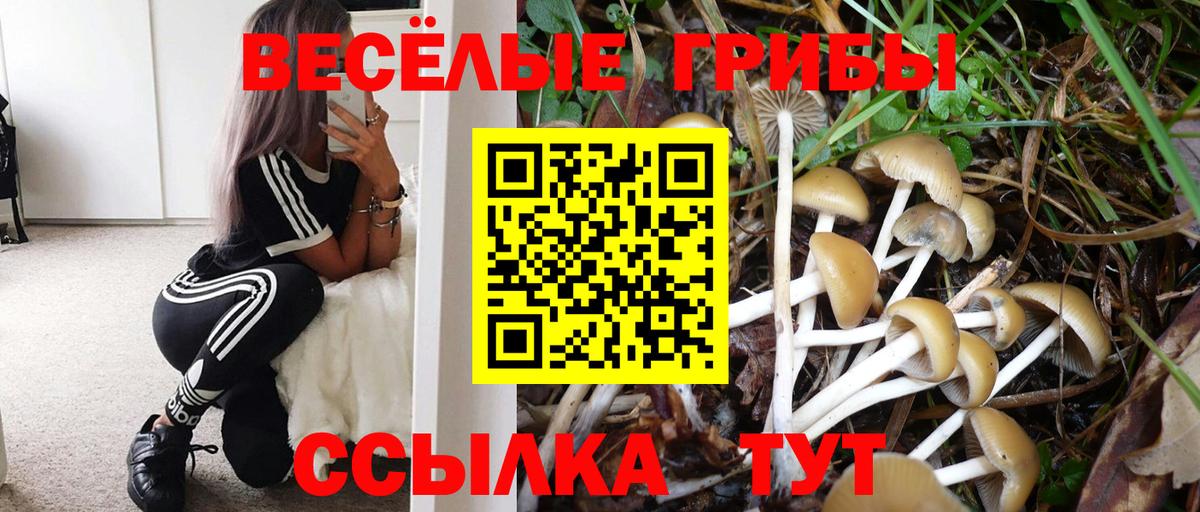 Псилоцибиновые грибы прущие грибы Нововоронеж