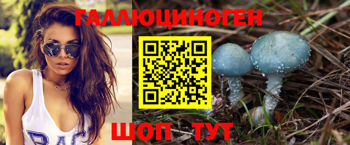 Галлюциногенные грибы Psilocybine cubensis  Галлюциногенные грибы Psilocybe  Нововоронеж  Вход с VPN 